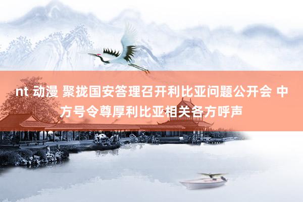 nt 动漫 聚拢国安答理召开利比亚问题公开会 中方号令尊厚利比亚相关各方呼声