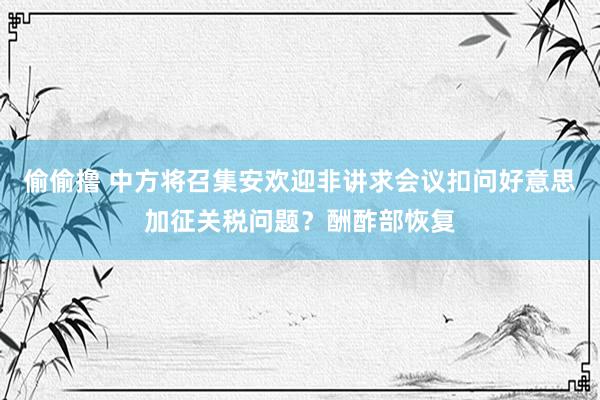 偷偷撸 中方将召集安欢迎非讲求会议扣问好意思加征关税问题？酬酢部恢复