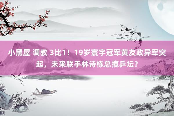 小黑屋 调教 3比1！19岁寰宇冠军黄友政异军突起，未来联手林诗栋总揽乒坛？