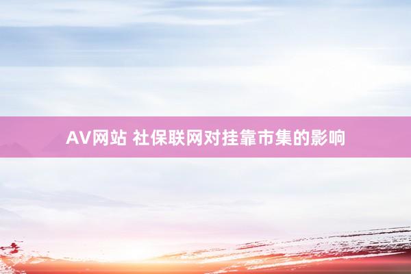 AV网站 社保联网对挂靠市集的影响