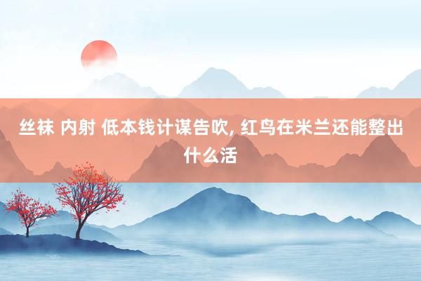 丝袜 内射 低本钱计谋告吹, 红鸟在米兰还能整出什么活