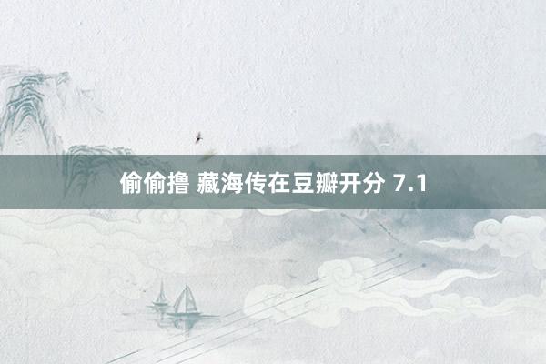 偷偷撸 藏海传在豆瓣开分 7.1